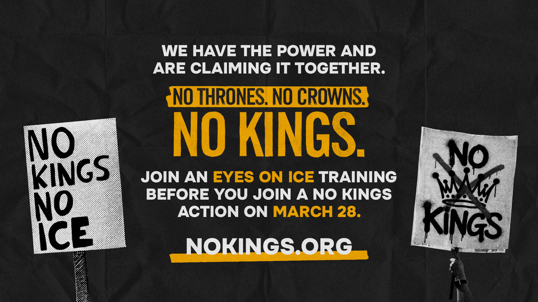 A No Kings graphic instructing the viewer to attend the ICE training before coming to the next No Kings rally on March 28th