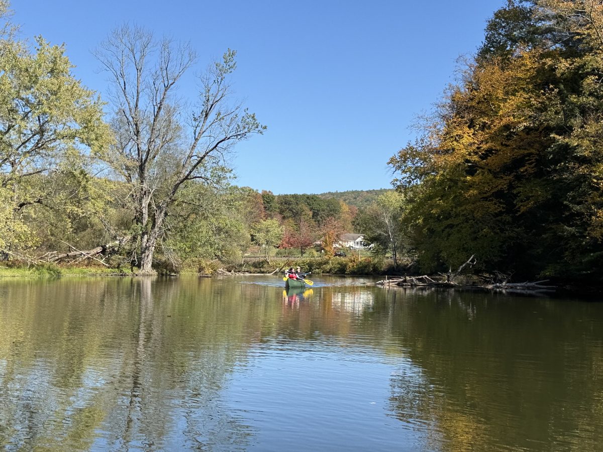Canoers on the river